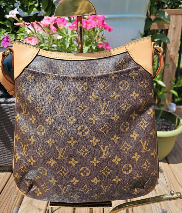 Odeon MM Crossbody - Image 3