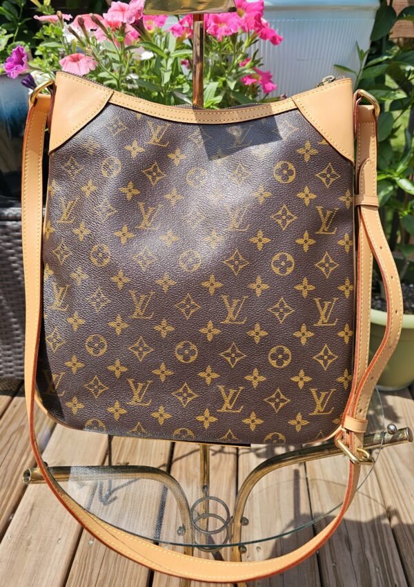 Odeon MM Crossbody - Image 17