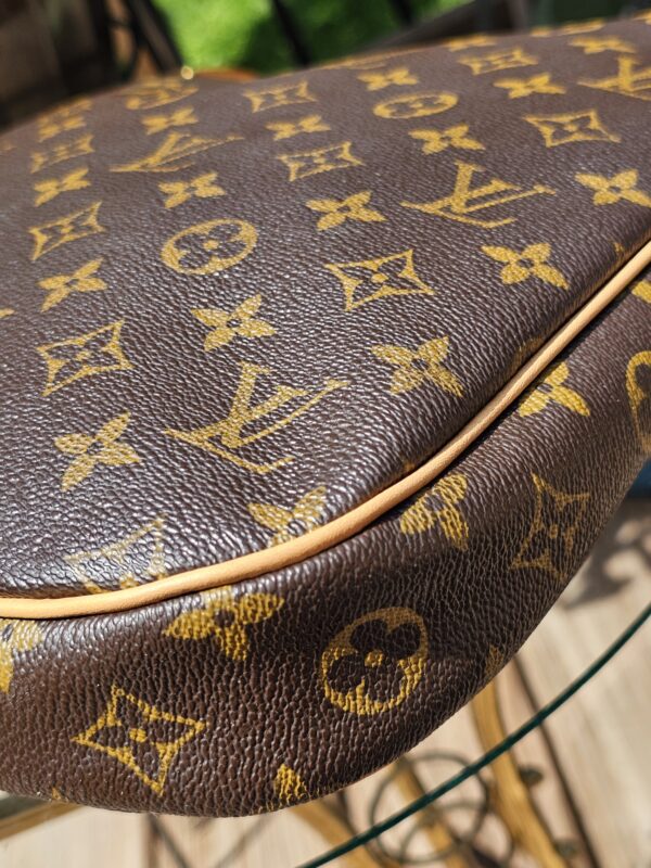 Odeon MM Crossbody - Image 21