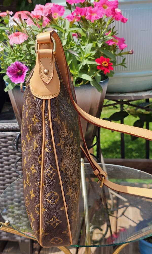 Odeon MM Crossbody - Image 6