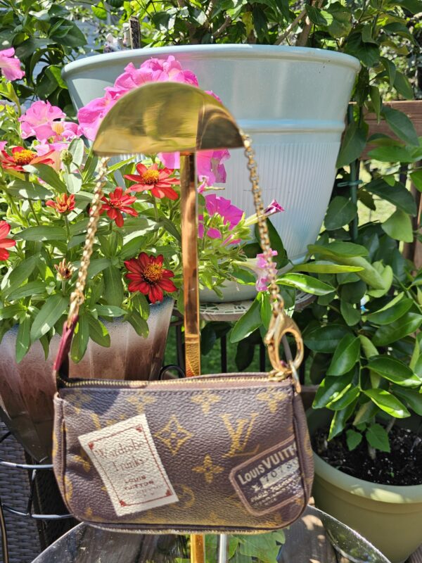 Limited Edition Mini Pochette Accessories