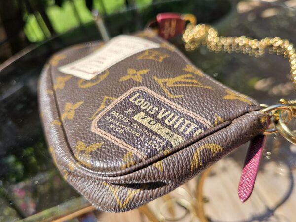 Limited Edition Mini Pochette Accessories - Image 4