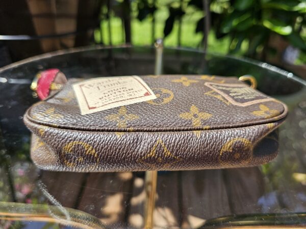 Limited Edition Mini Pochette Accessories - Image 6