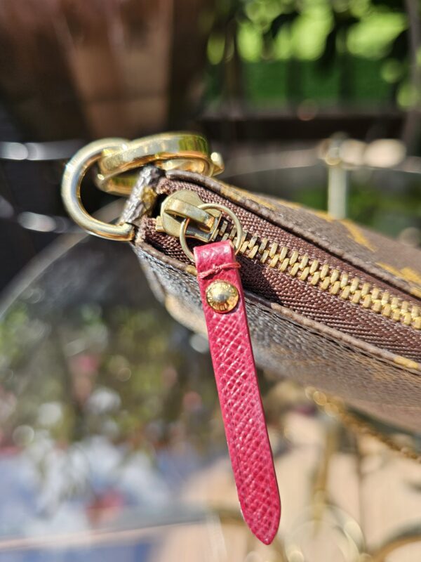 Limited Edition Mini Pochette Accessories - Image 10