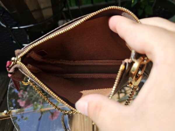Limited Edition Mini Pochette Accessories - Image 11