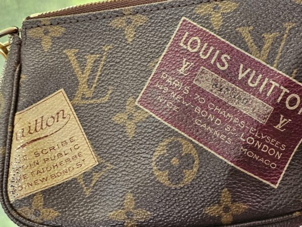 Limited Edition Mini Pochette Accessories - Image 15