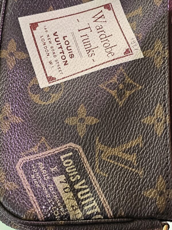 Limited Edition Mini Pochette Accessories - Image 16