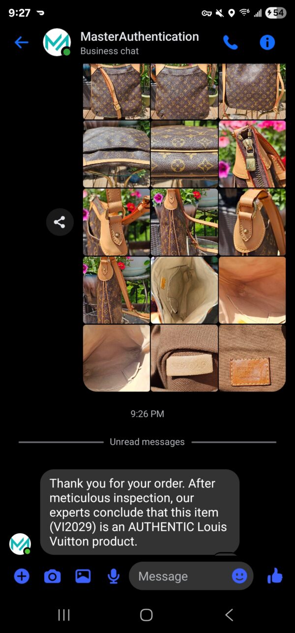 Odeon MM Crossbody - Image 16