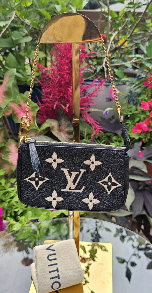 Mini Pochette Accessories Bicolor