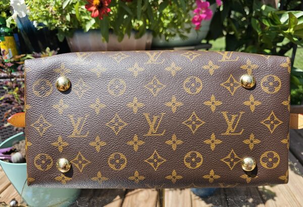 Carryall PM Monogram Set - Image 9