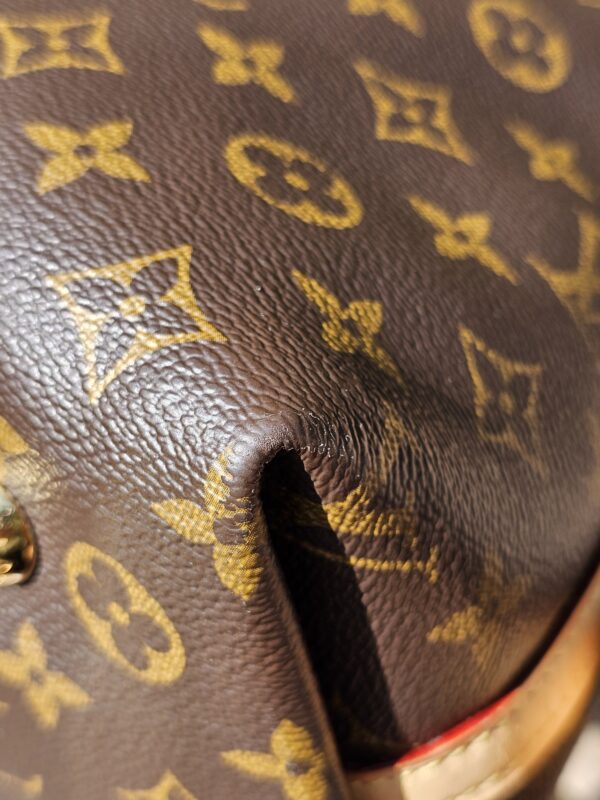 Carryall PM Monogram Set - Image 10