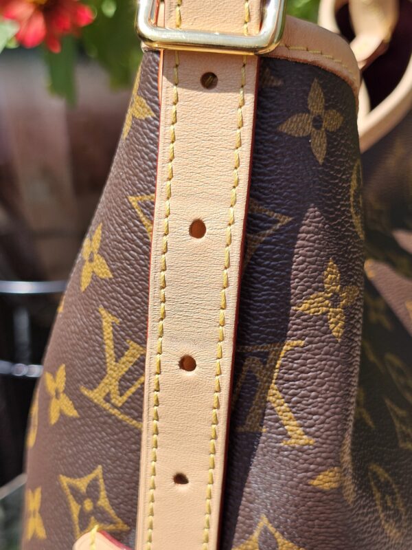 Carryall PM Monogram Set - Image 14