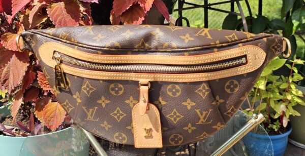 Highrise Bumbag - Image 4