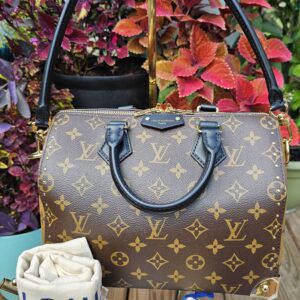 Speedy Trunk 25 Monogram Reverse