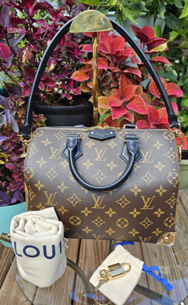 Speedy Trunk 25 Monogram Reverse