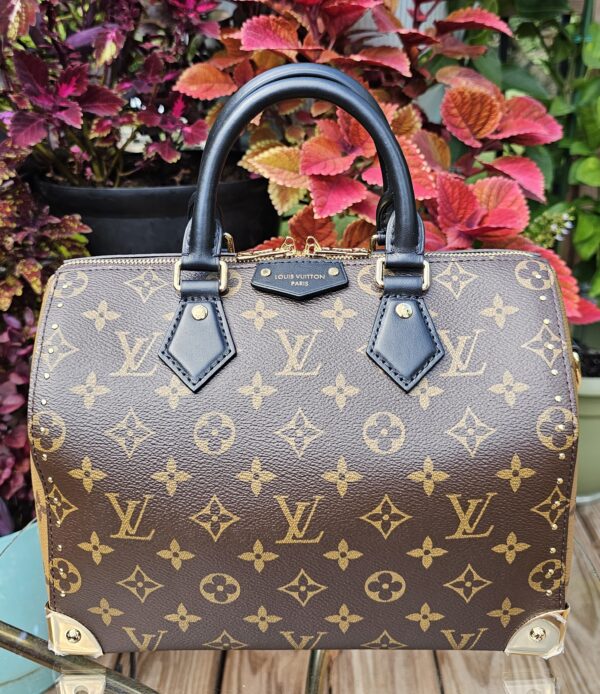 Speedy Trunk 25 Monogram Reverse - Image 15