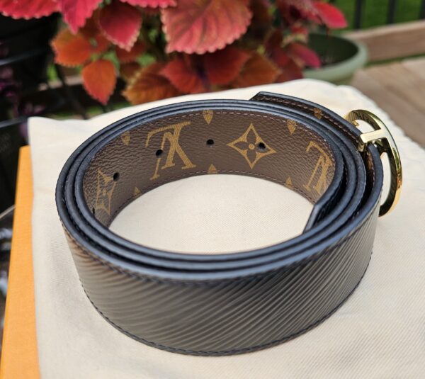 Epi Circle Reversible Belt - Image 4