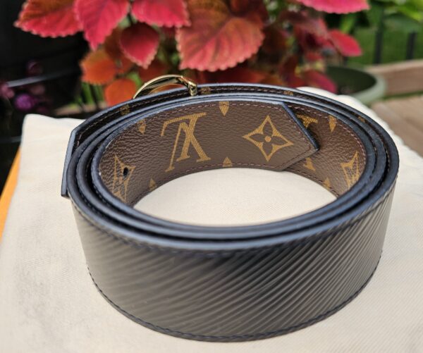 Epi Circle Reversible Belt - Image 5