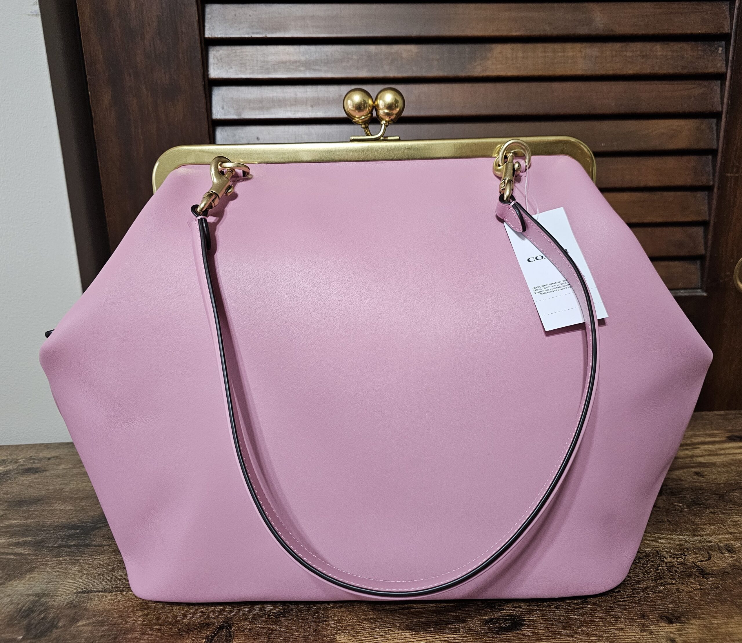 Large Frame Kisslock - Image 3