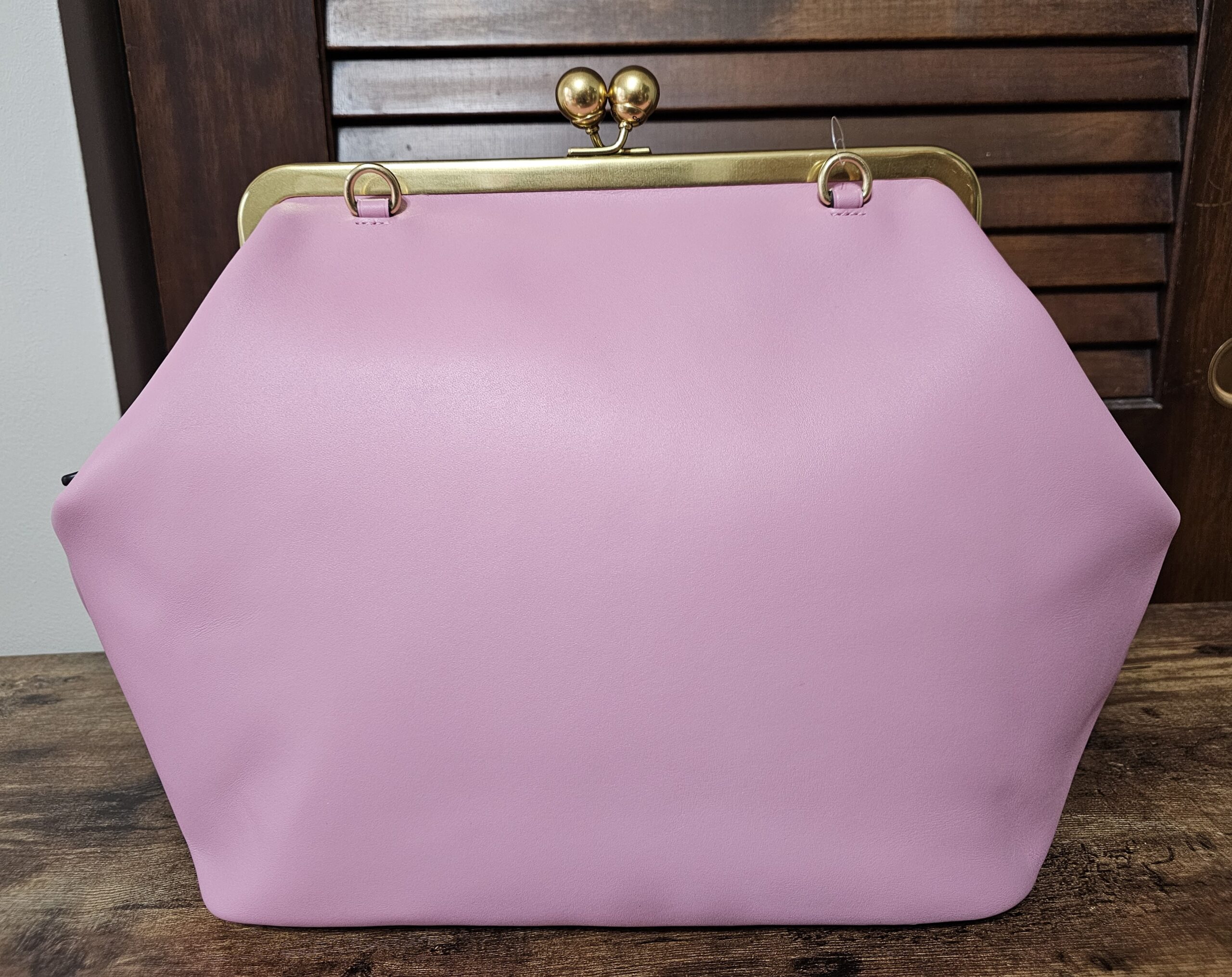 Large Frame Kisslock - Image 4