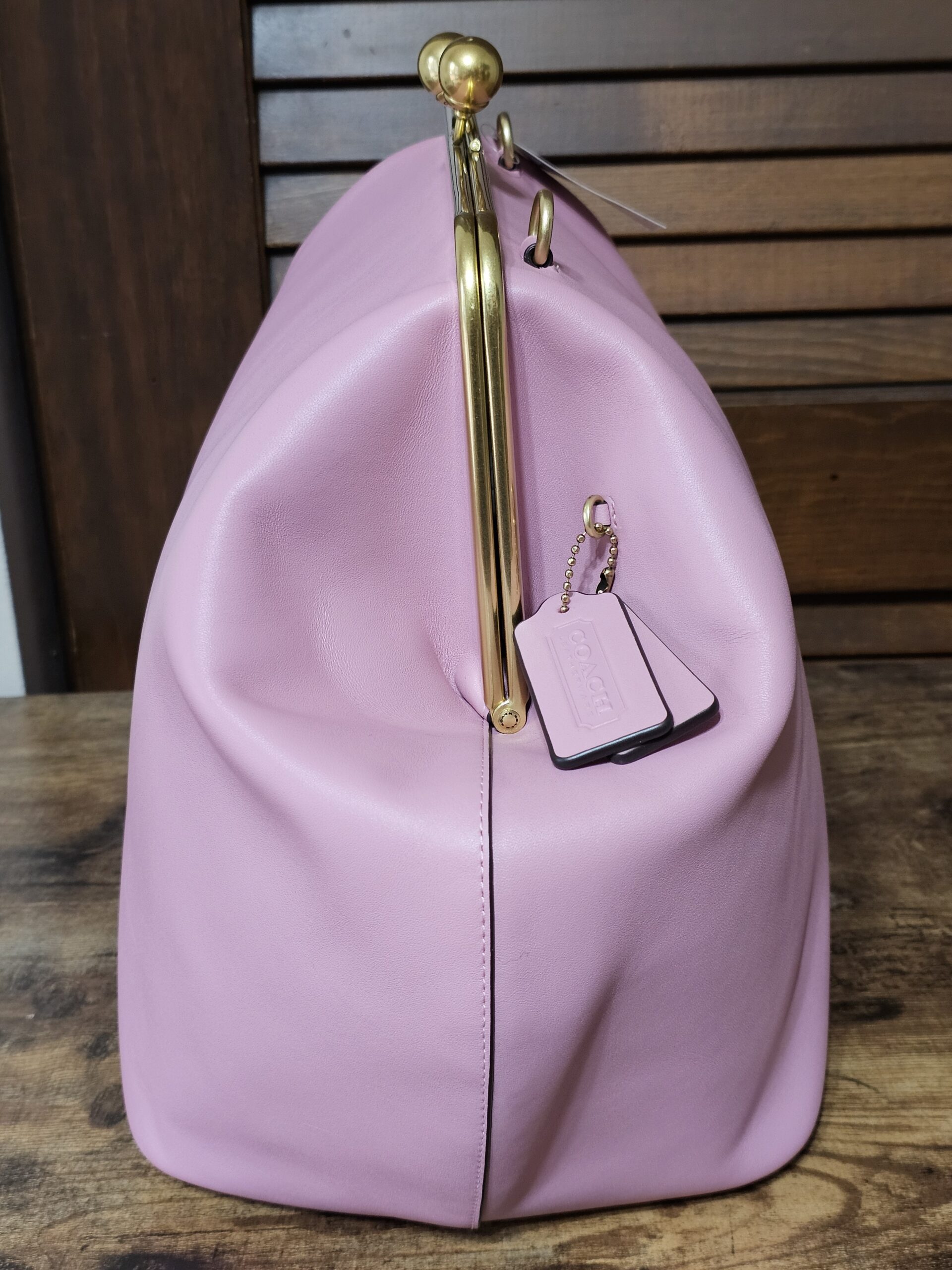 Large Frame Kisslock - Image 6