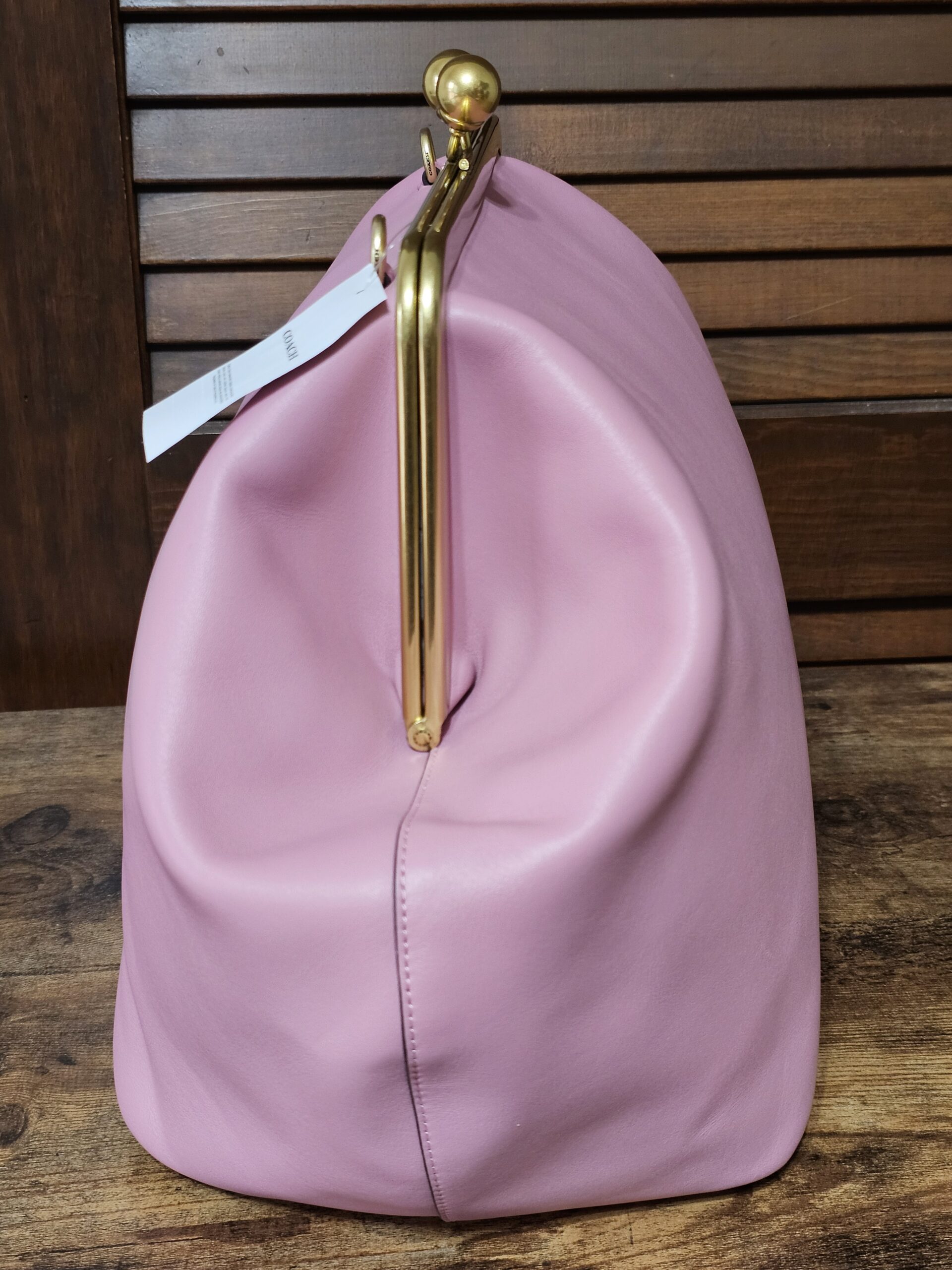 Large Frame Kisslock - Image 7