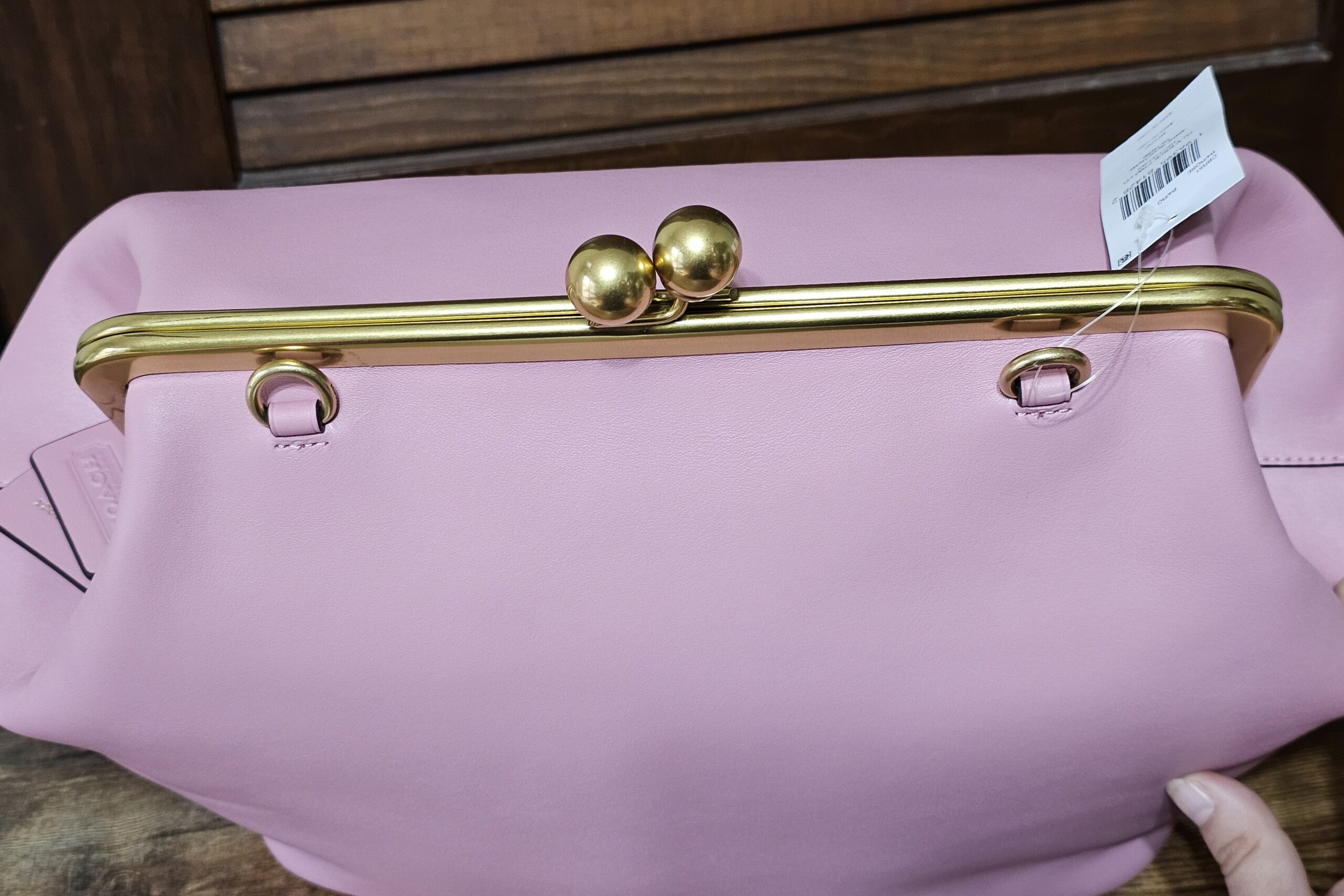 Large Frame Kisslock - Image 11