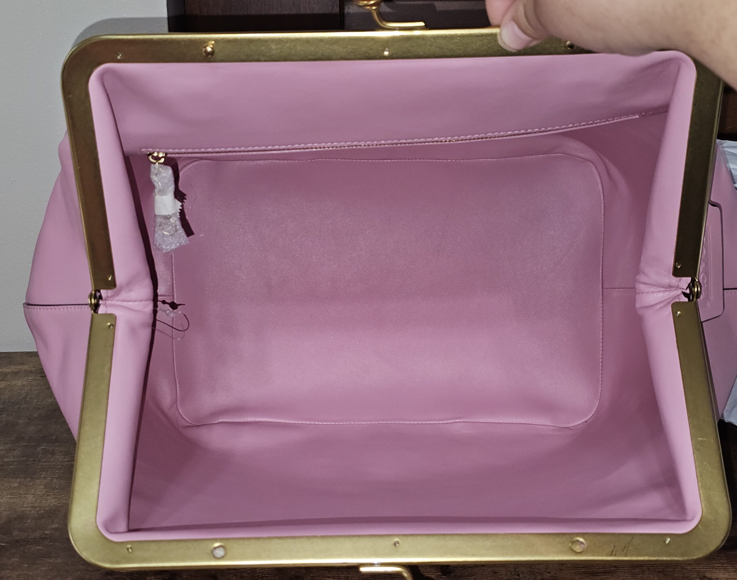 Large Frame Kisslock - Image 13