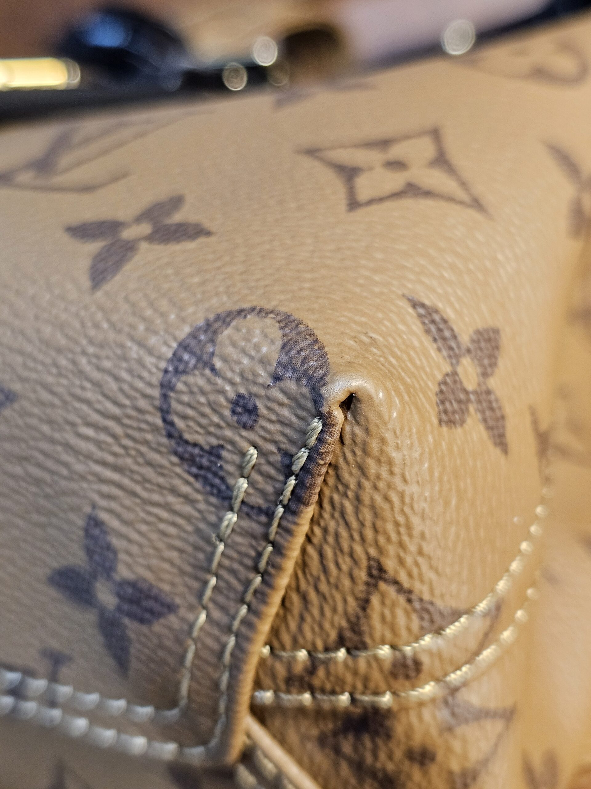 Atlantis BB - Image 9