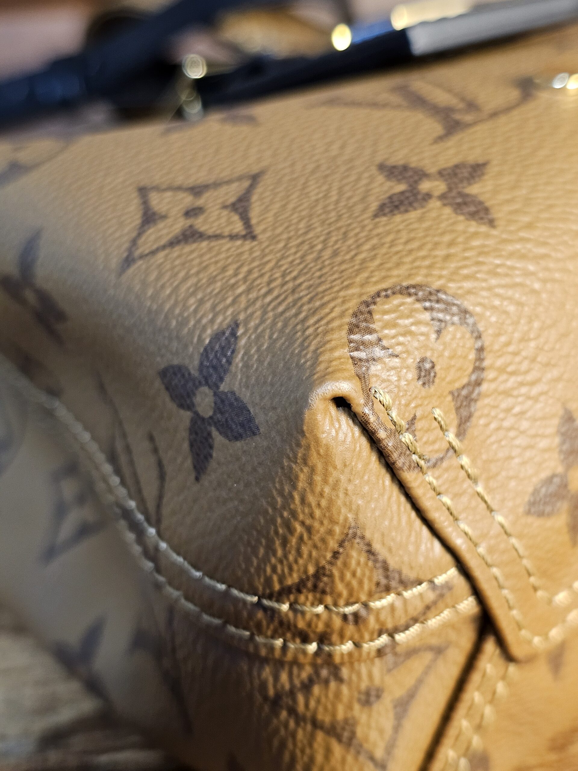 Atlantis BB - Image 10