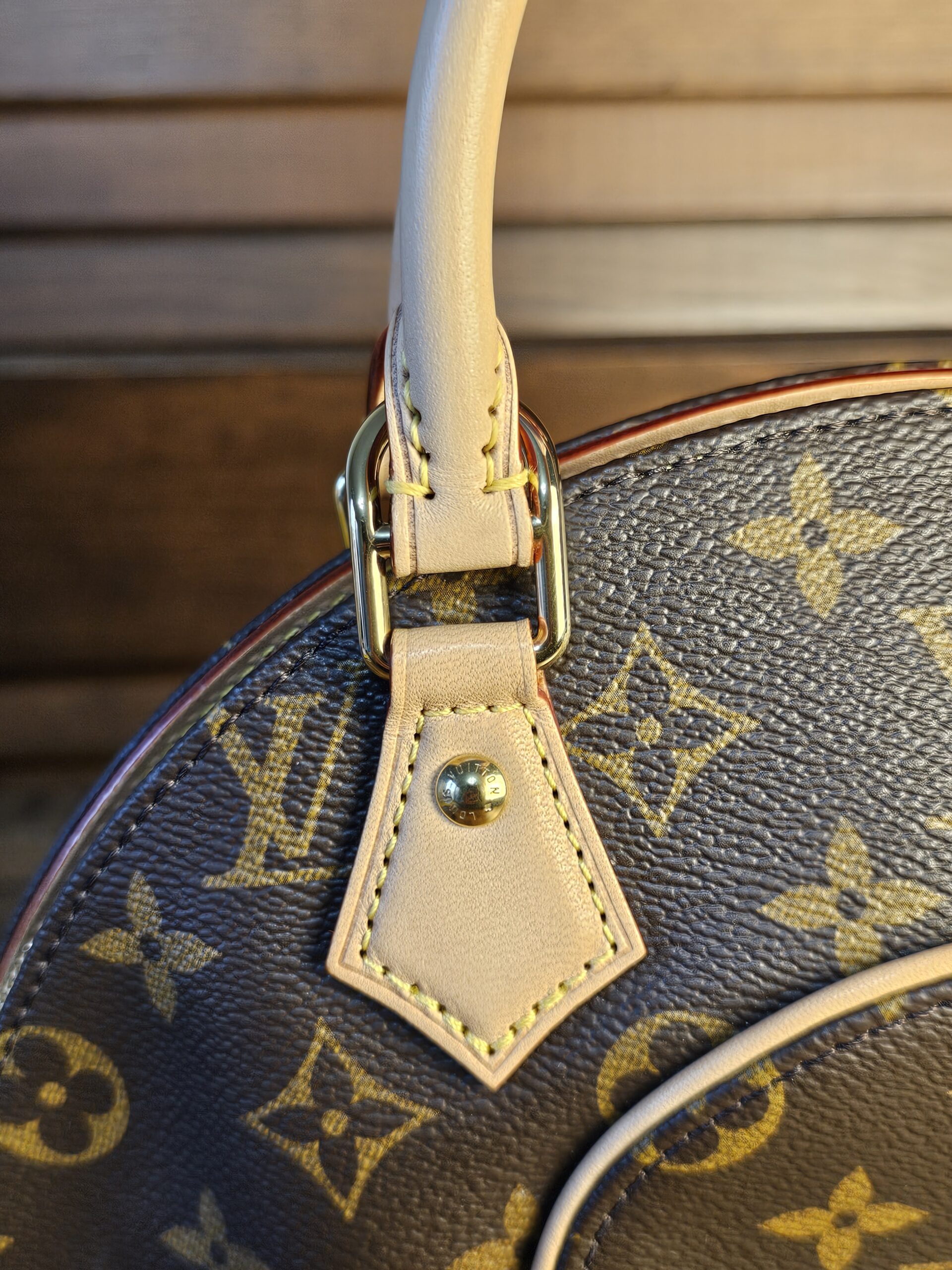 Ellipse PM New Model - Image 13