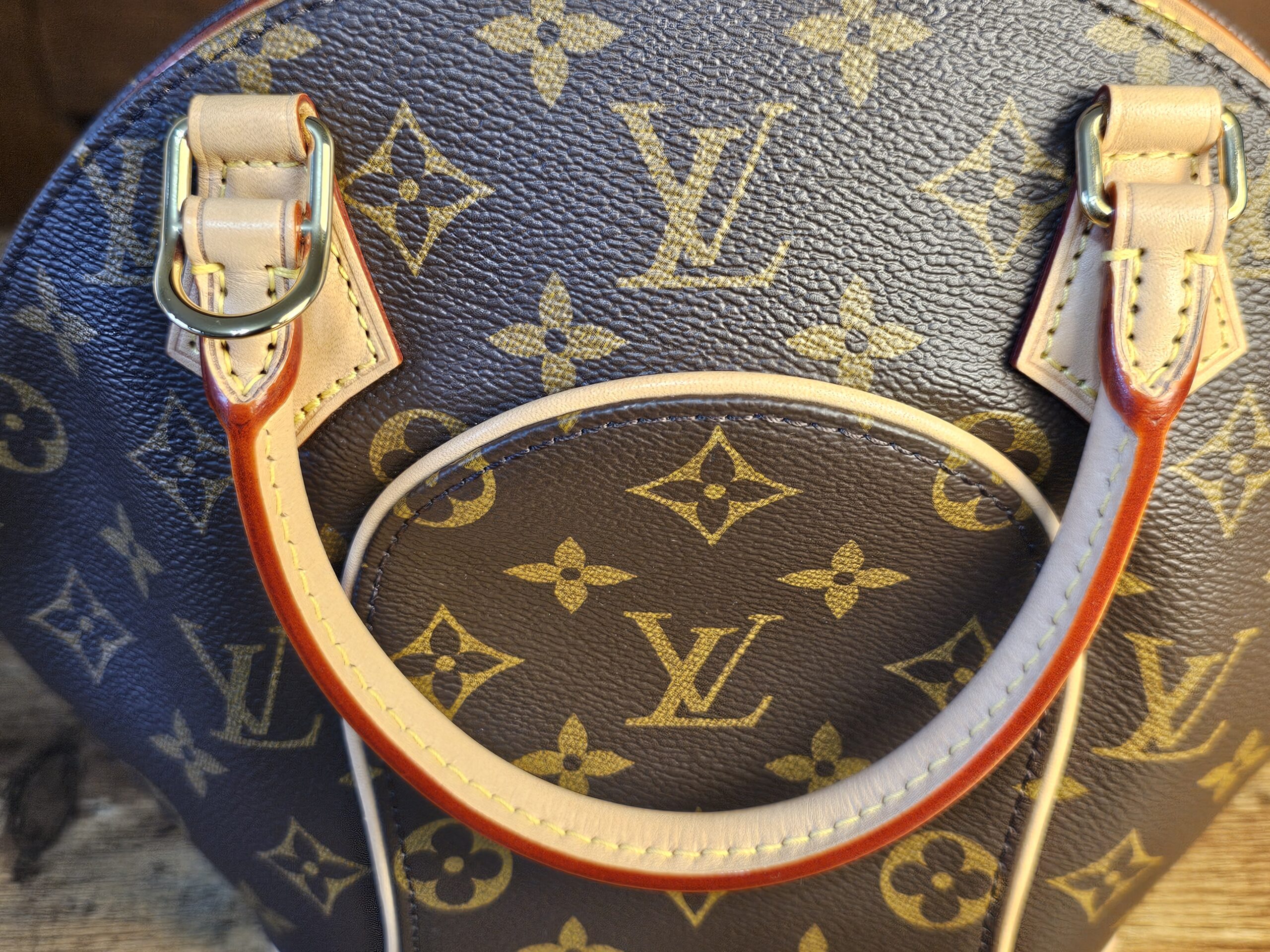 Ellipse PM New Model - Image 15