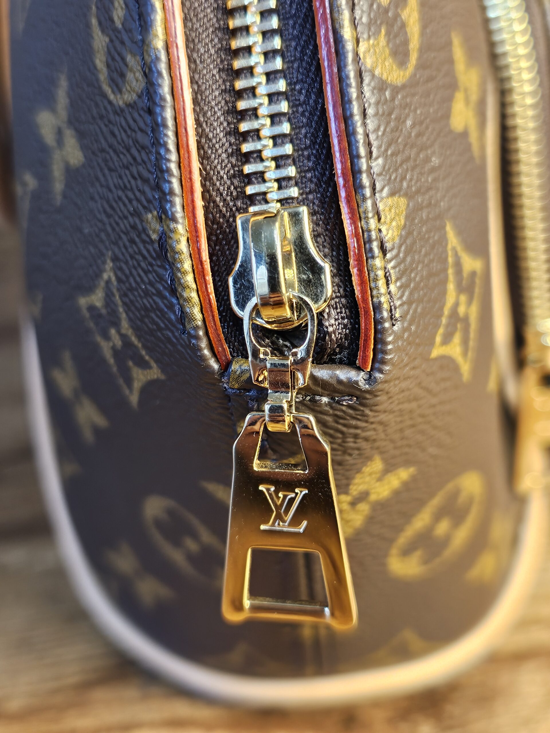 Ellipse PM New Model - Image 16