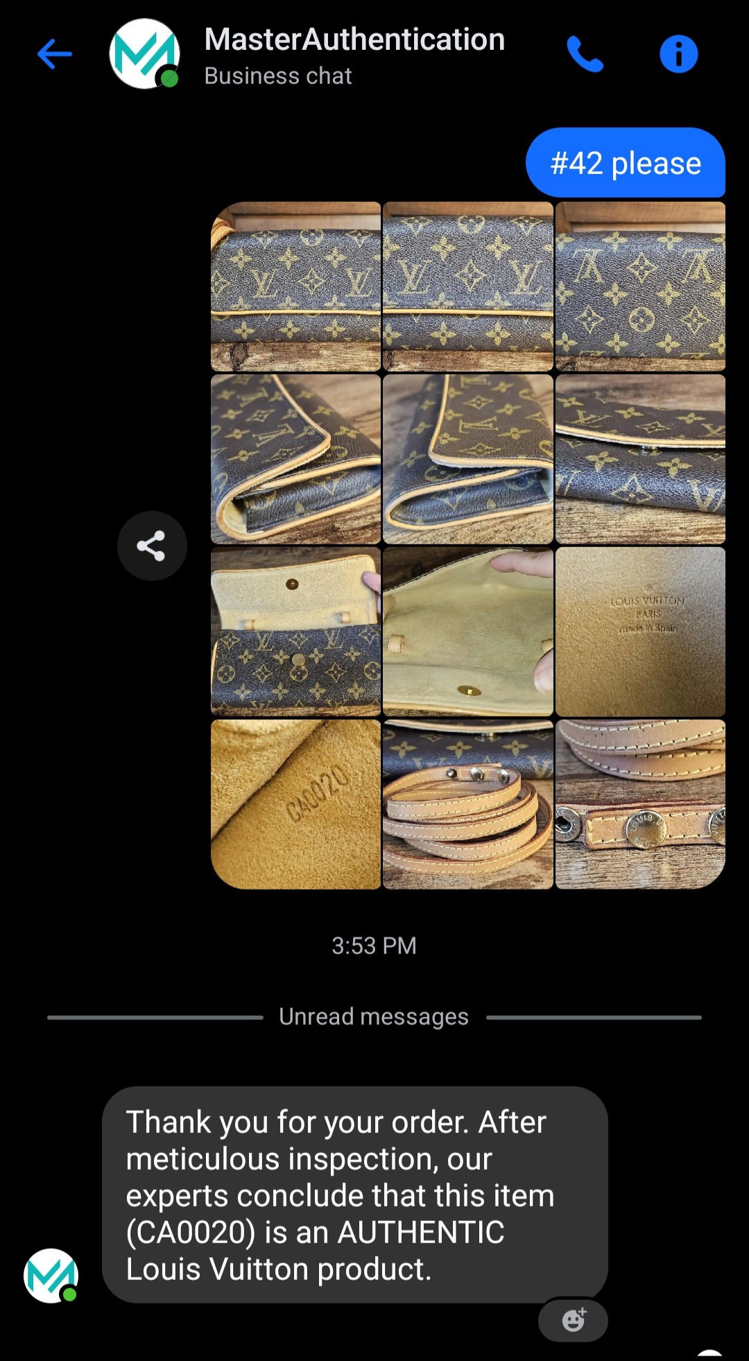 Twin PM Pochette - Image 15