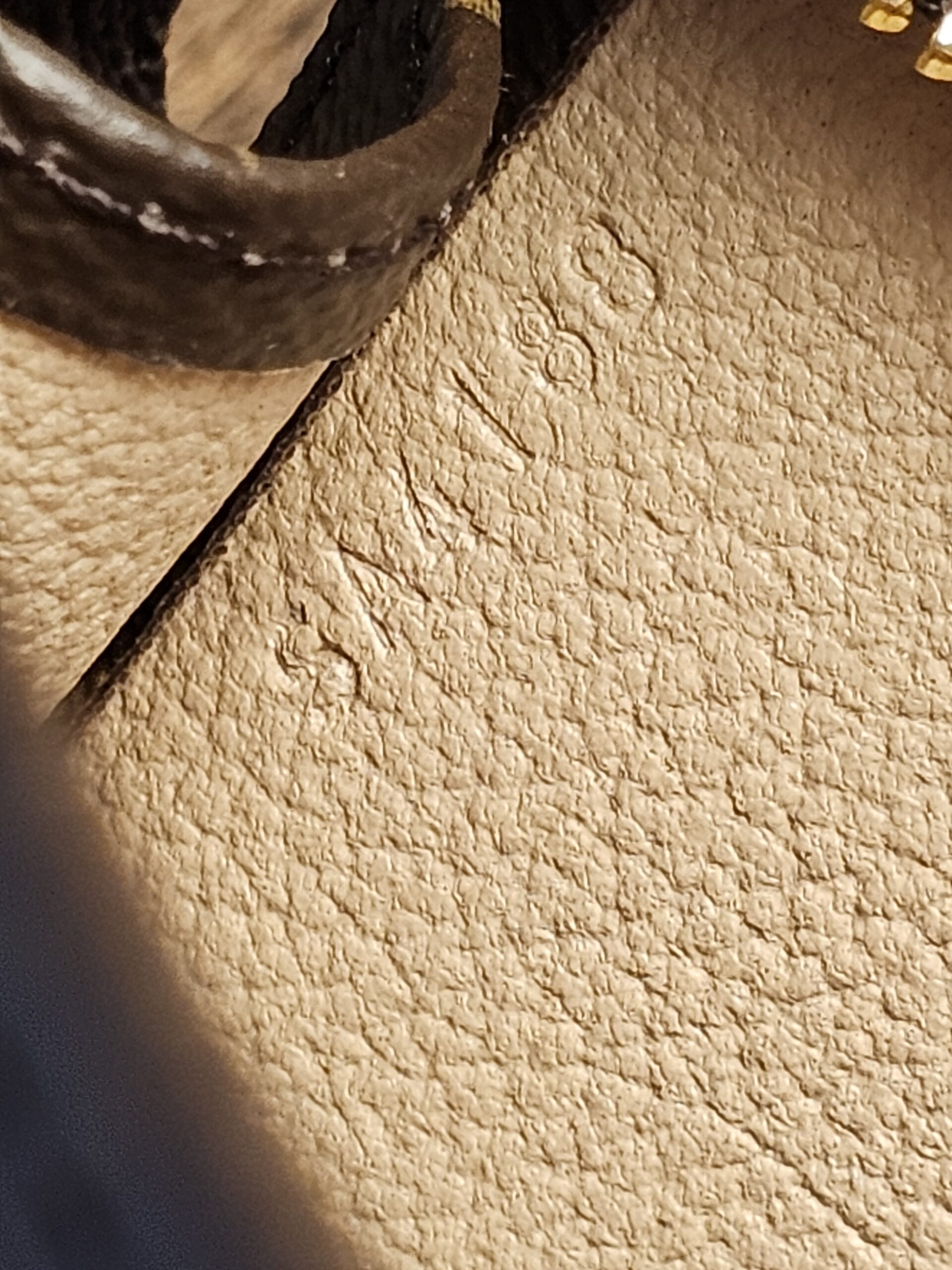 Tolietry 26 Monogram - Image 17