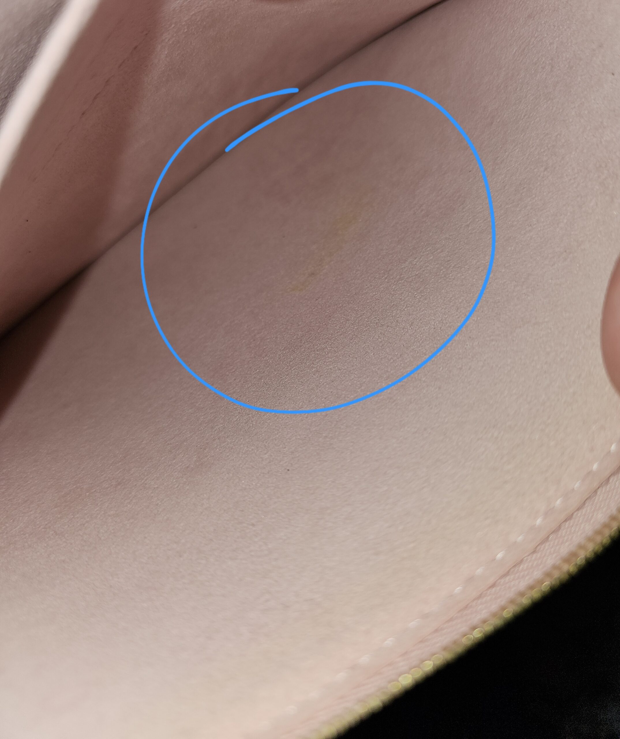 Daily Pouch - Image 9