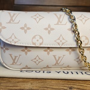 Ivy Wallet On Chain in Dune