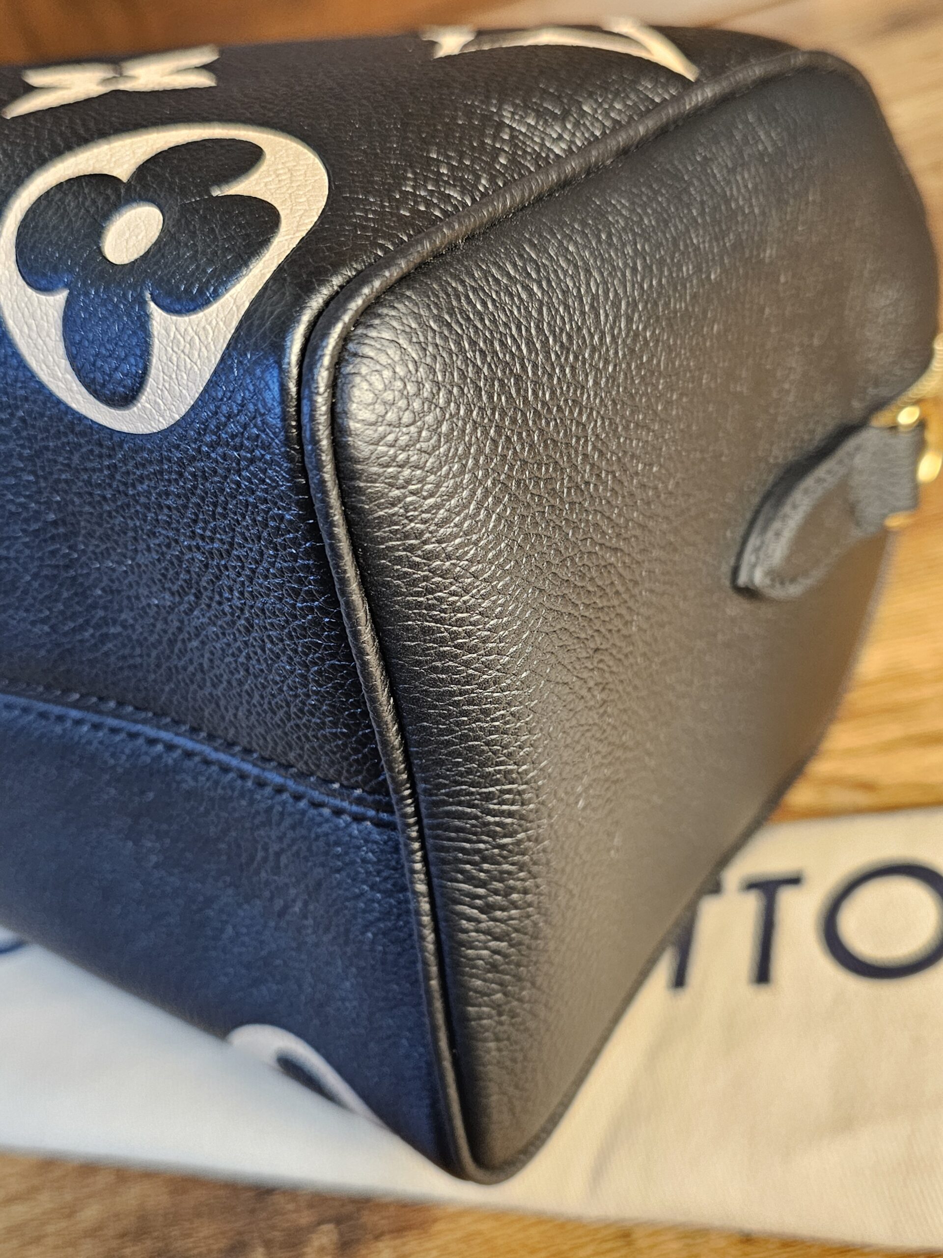 Bi Color Speedy 25 Bandouliere - Image 10