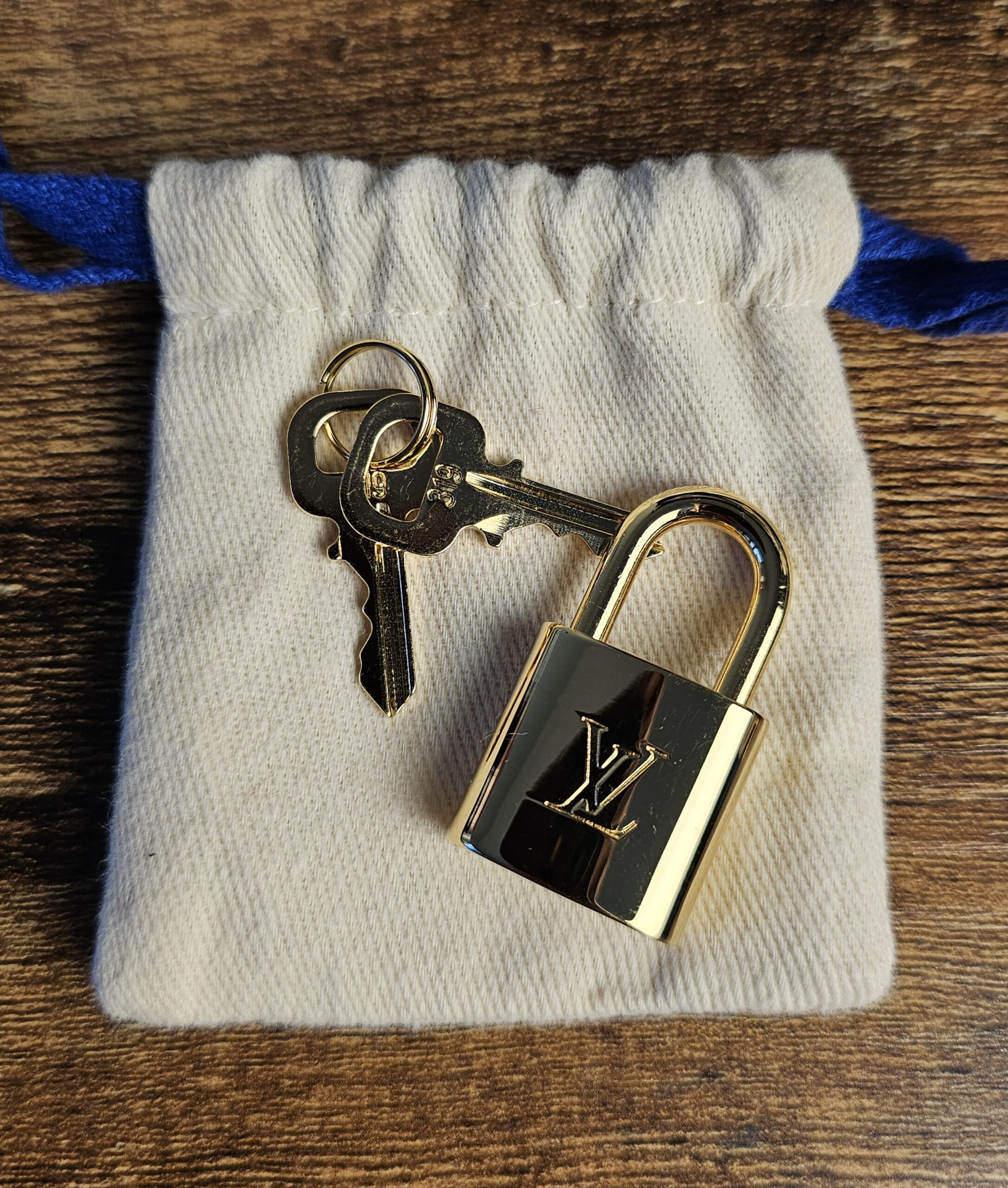 Bi Color Speedy 25 Bandouliere - Image 17