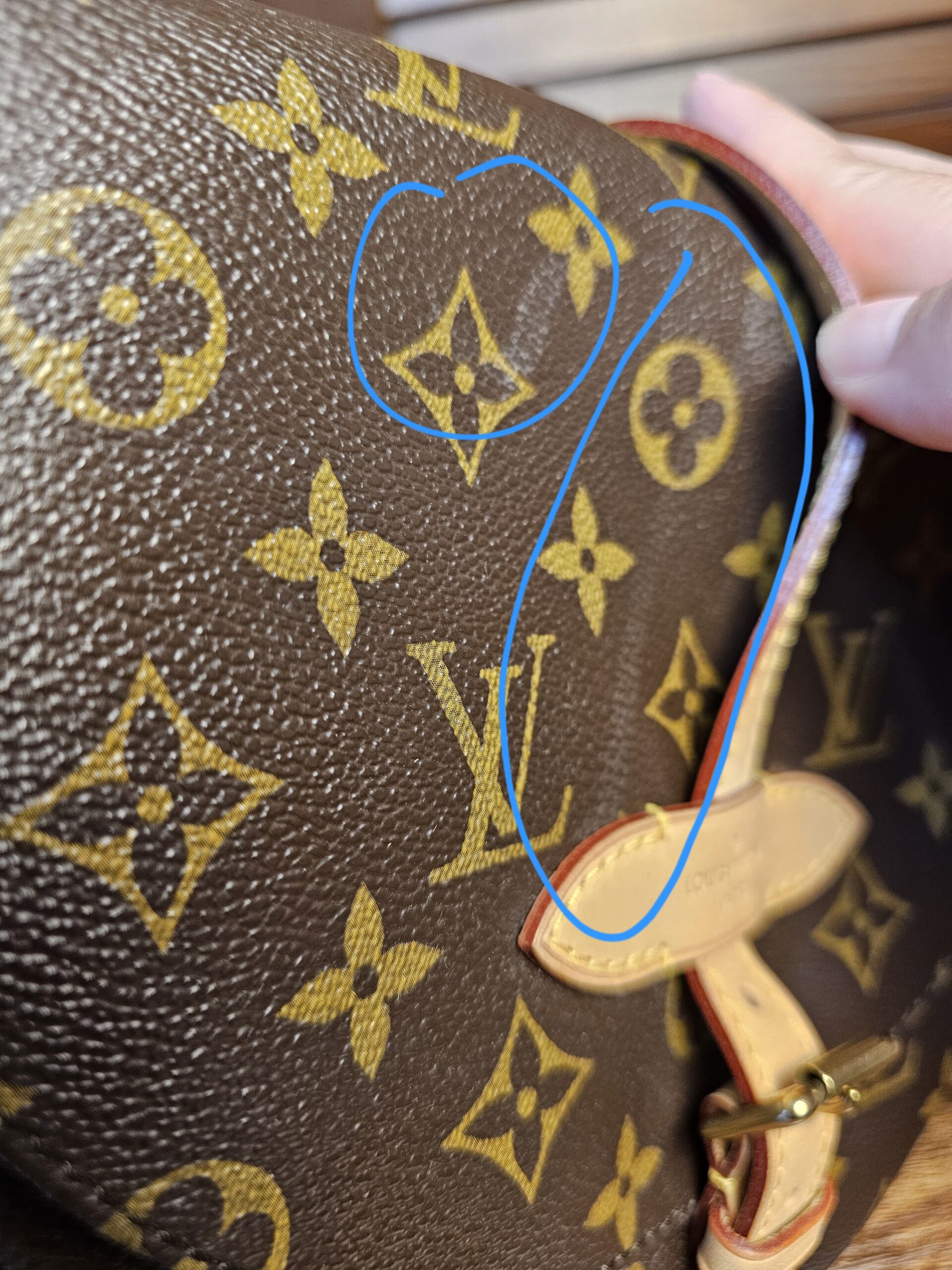 Chantilly MM - Image 13