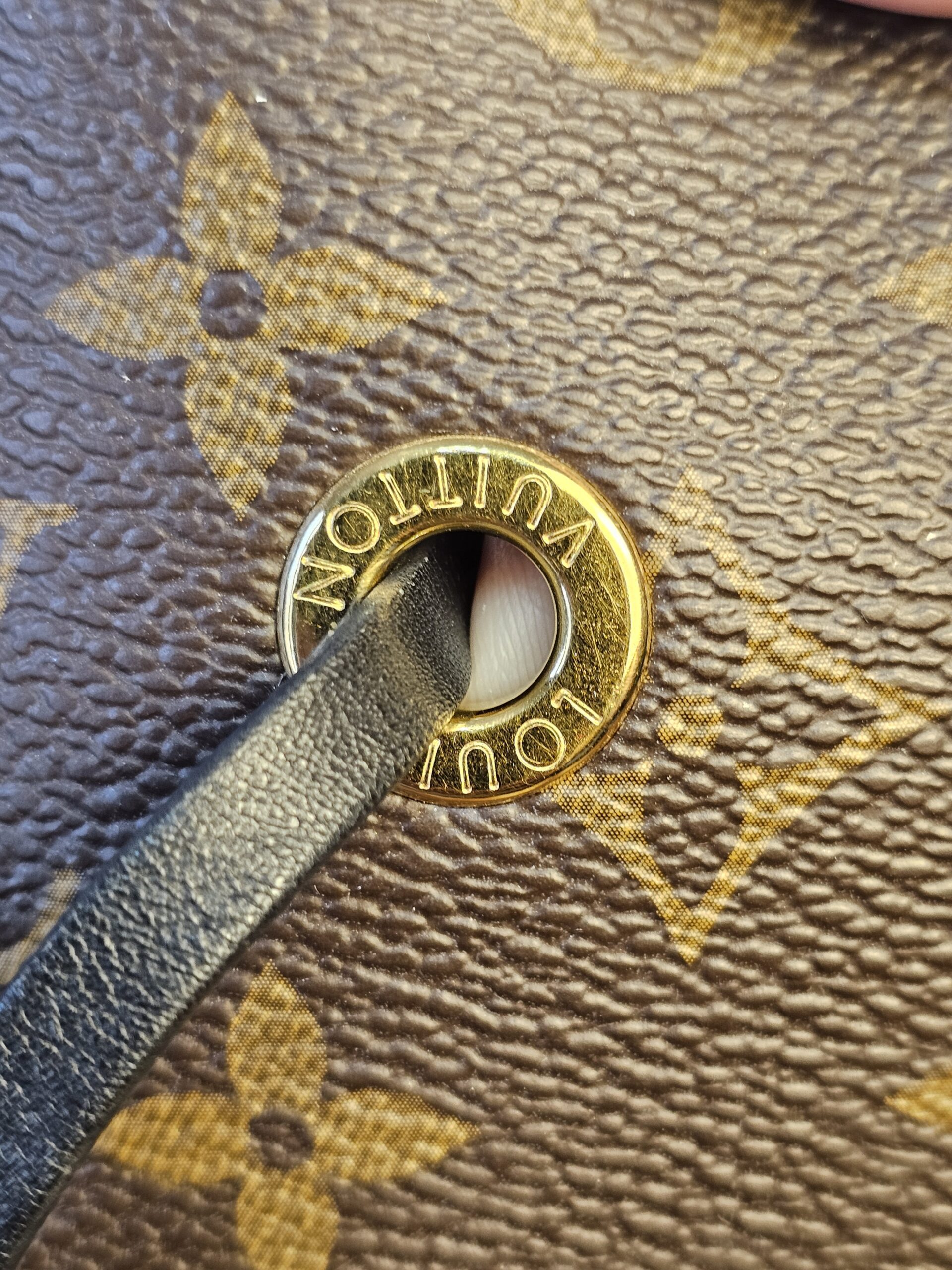 Neo Noe MM - Image 16