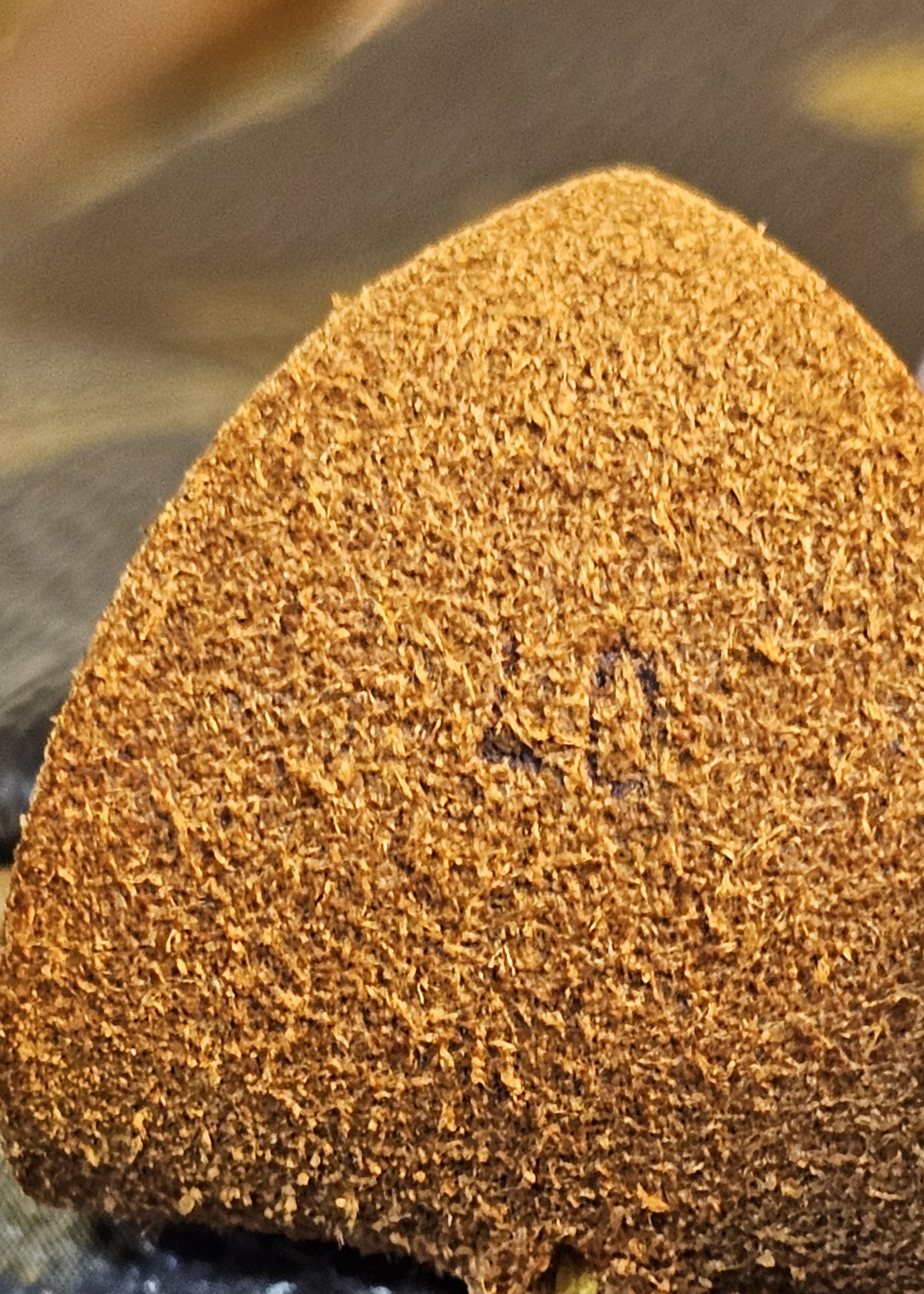 Speedy 40 - Image 14