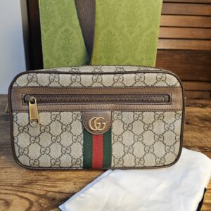 Ophidia medium belt bag