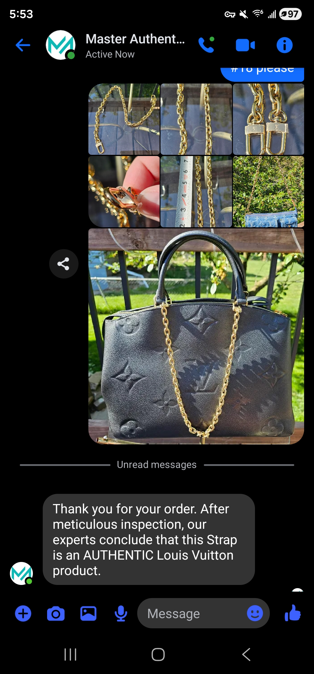 Gold hardware chain - Image 7