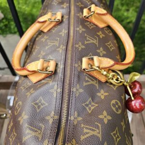 Monogram Speedy 40 - Image 11