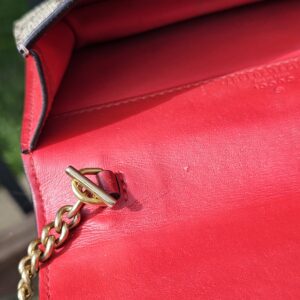 GG Supreme Mini Cherry Chain Bag - Image 14