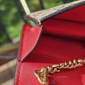 GG Supreme Mini Cherry Chain Bag - Image 20