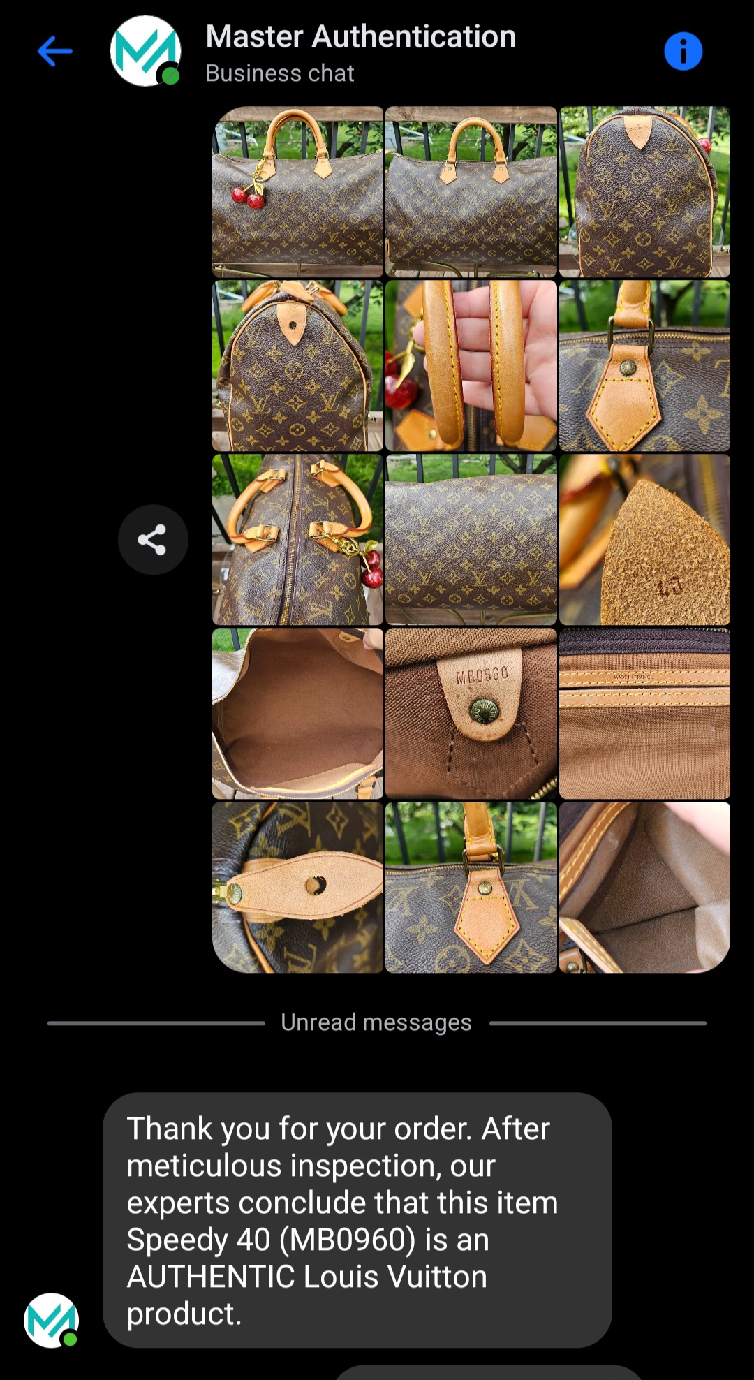 Monogram Speedy 40 - Image 26