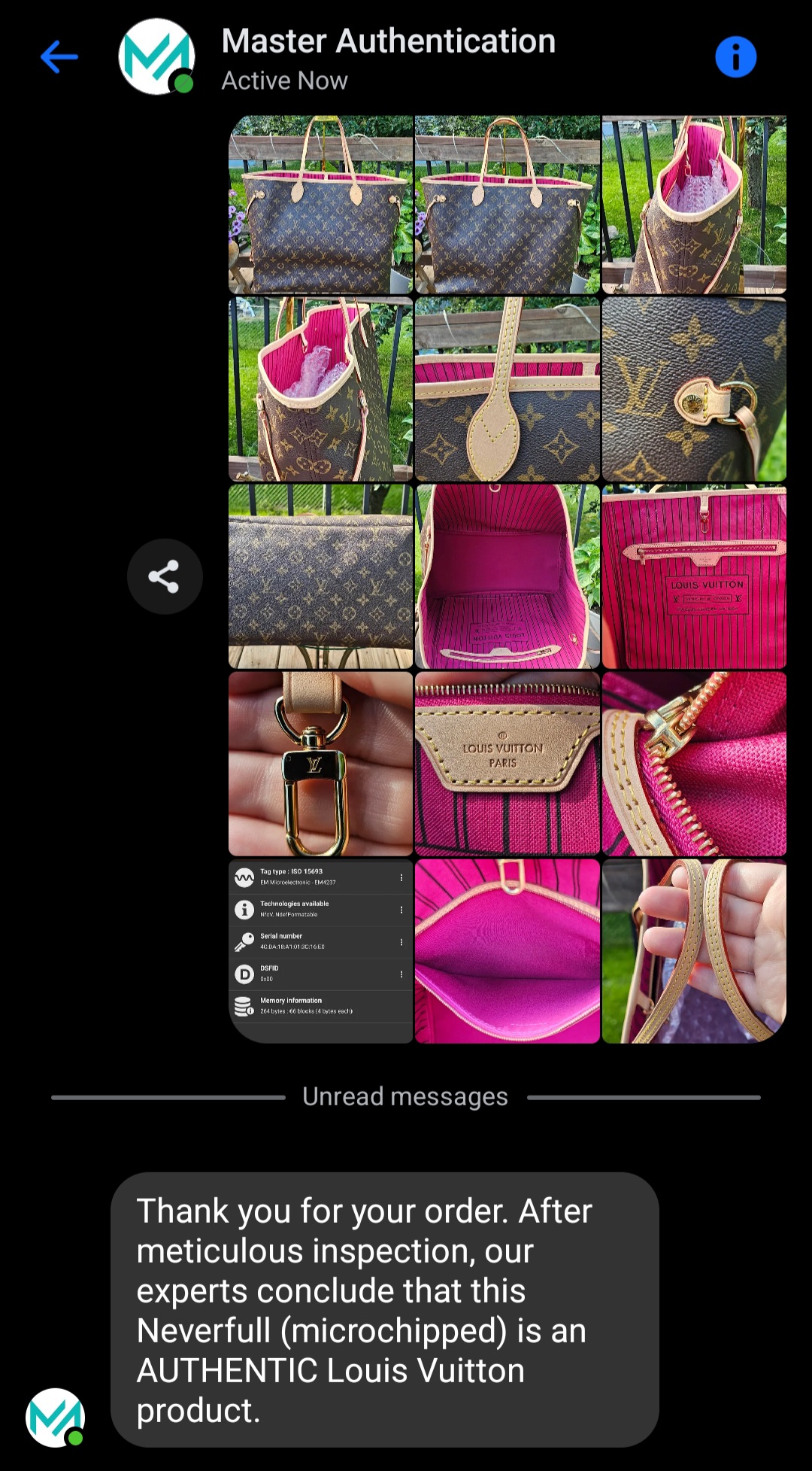 Neverfull GM - Image 29