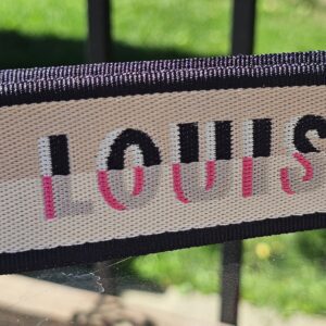 Bandouliere 20 speedy Strap - Image 9